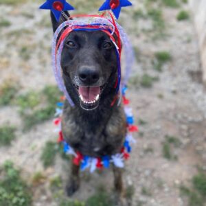 106963628 2670625456543504 2266225677915167113 n 300x300