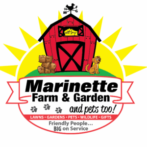 305920671 578831650340016 8719613762042222332 n 300x300