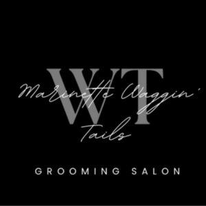 448559115 986683630129448 2675583309559026077 n 300x300