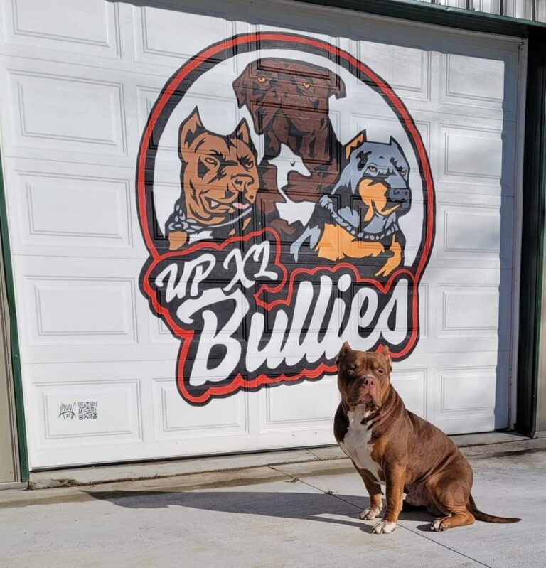 493270785 1206540741470984 3766759896767815314 n 768x799